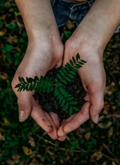 sustainable living scaled